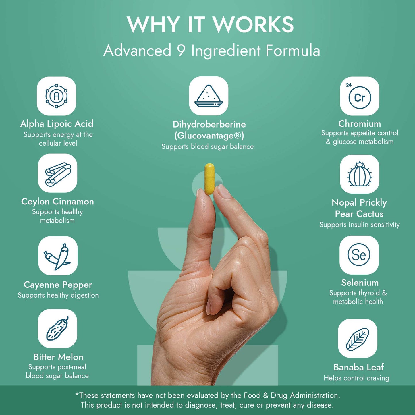 ALTAVIDA™ Balance - Dihydroberberine Supplement