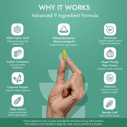 ALTAVIDA™ Balance - Dihydroberberine Supplement